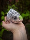 Peaky the Leaf Snoot Bouldersaur 