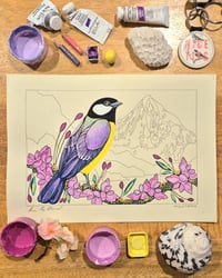 Great Tit and Pallas