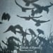 Image of (Masahisa Fukase) (The Solitude of Ravens)