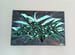 Image of Astek wildstyle 