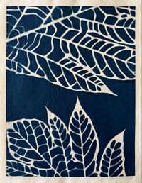 Cyanotype Panas II 