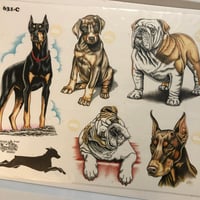 Image 2 of 1997 OFFICIAL TATTOO BRAND PRODUCTION Dog SHEET 631-c