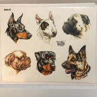 Image 1 of 1997 OFFICIAL TATTOO BRAND PRODUCTION Dog SHEET 362-c