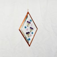 Image 1 of Pressed Flower Suncatcher - Viola and Blossoms