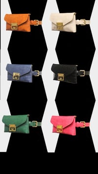 Image 1 of Fashion Fanny Pack
