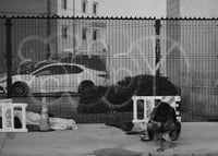 Image 5 of Urban Decay