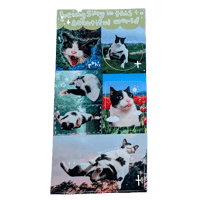 being silly in this beautiful world sticker sheet