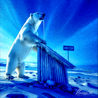 ARCTIC HOT BUS