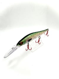 Image 2 of Jerk Bait DD Rainbow Trout 110mm +2