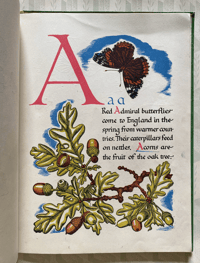 Image 7 of Nature's ABC by Eileen Mayo