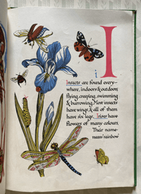 Image 9 of Nature's ABC by Eileen Mayo