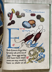 Image 8 of Nature's ABC by Eileen Mayo