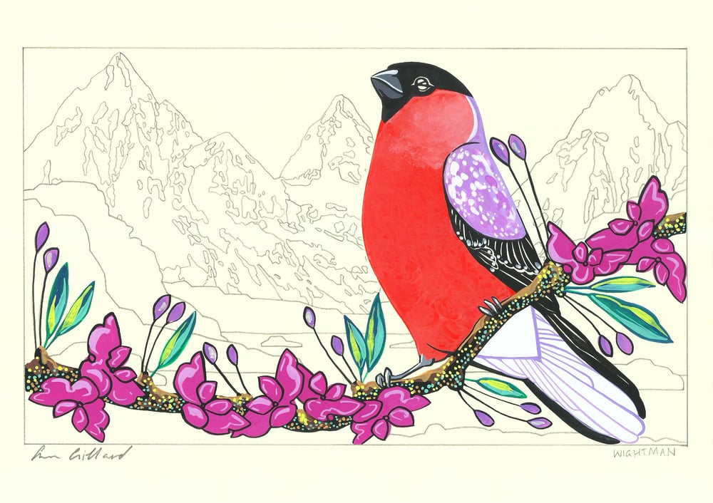 Image of Bullfinch and Evangeline