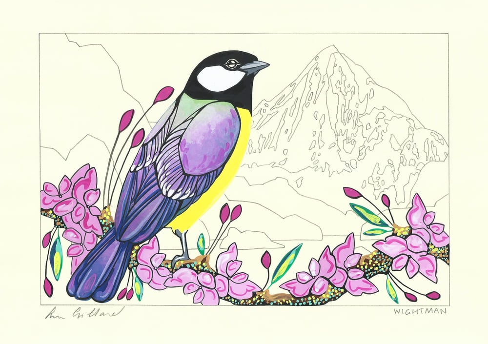 Image of Great Tit and Pallas