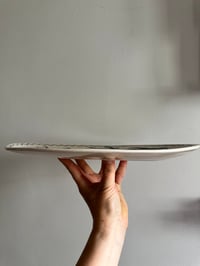 Image 3 of Oval platter - seals and friends