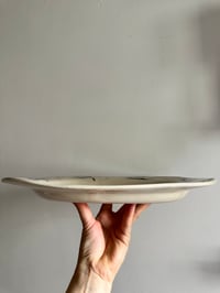 Image 3 of Oval Platter (2) - Seals and friends