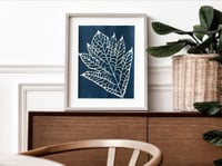 Image 2 of Cyanotype Pana solo II 