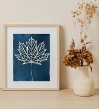 Image 2 of Cyanotype Maple