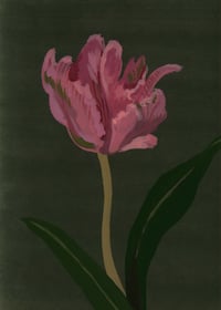 "Tulip" signed Giclee Fine Art Print 