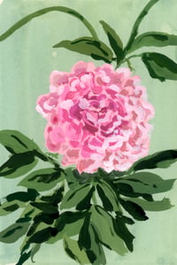 "Peony" signed Giclee Fine Art Print