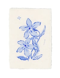 tiny blue flowers 3