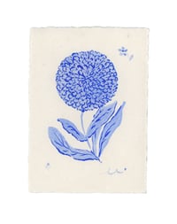  tiny blue flowers 2