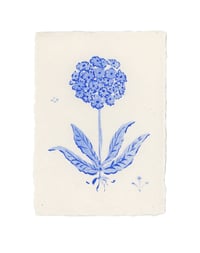 tiny blue flowers 1
