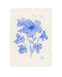 tiny blue flowers 4