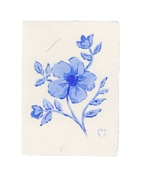 tiny blue flowers 5