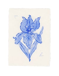 tiny blue flowers 6