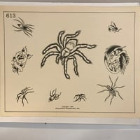 Image 1 of 1981 Spaulding & Roger’s spider production sheet 613