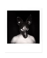 Instant Moments_073 // Polaroid // Original