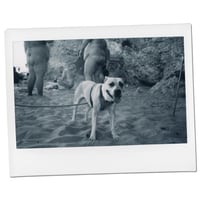Instant Moments_039 // Polaroid // Original