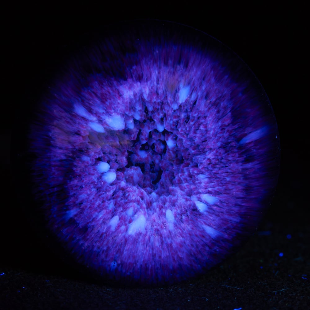Image of Terra Glow 2 - 2026