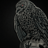 Image 2 of Raven Relic Enamel Pin – Gothic Norse Occult Collectible