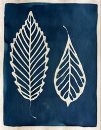 Image 1 of Cyanotype Fall leaves II