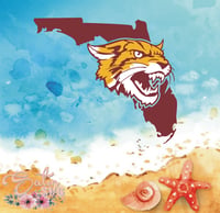 Image 14 of Bethune-Cookman Wildcats Designs SVG Files, Cricut, Studio, Digital Cut Files