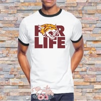Image 20 of Bethune-Cookman Wildcats Designs SVG Files, Cricut, Studio, Digital Cut Files