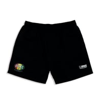 MENS RASTA BEACH SHORTS