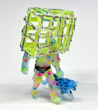 Image 1 of Caged Head (Box)