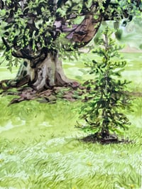 Image 1 of Sapling
