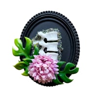 Image 11 of Oddities 