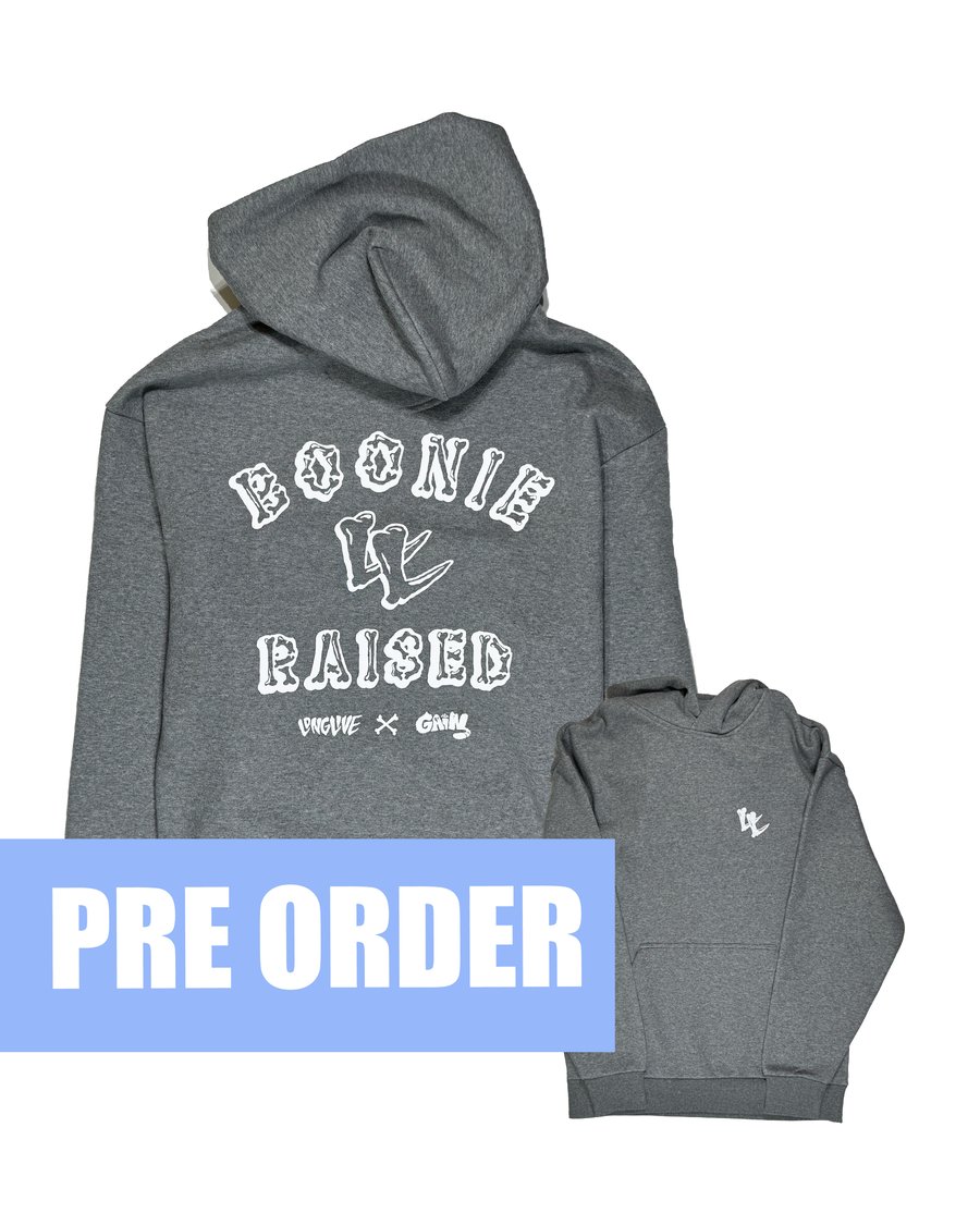 Image of BOONIE RAISED HOODIE GREY