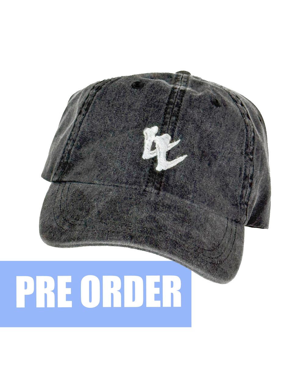 Image of GREY BONES HAT