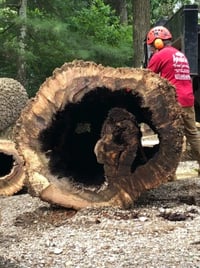 The Devastating Financial Liability of Weekend Chainsaw Projects