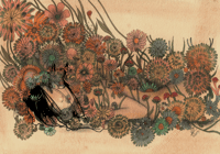 in bloom  A4 print 