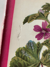 Image 2 of A pocket book of British Wild Flowers