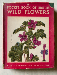 Image 1 of A pocket book of British Wild Flowers