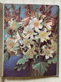Image 4 of In Praise of Flowers (A)