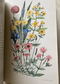Image 4 of British Flowering Plants by John Hutchinson